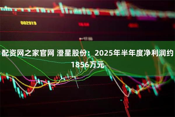 配资网之家官网 澄星股份：2025年半年度净利润约1856万元